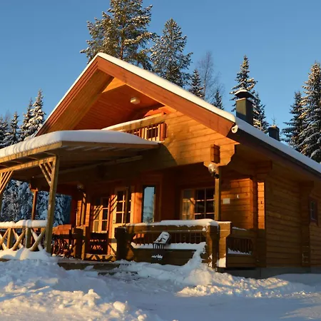 Rinnepelto 6827 Holiday home Tahkovuori